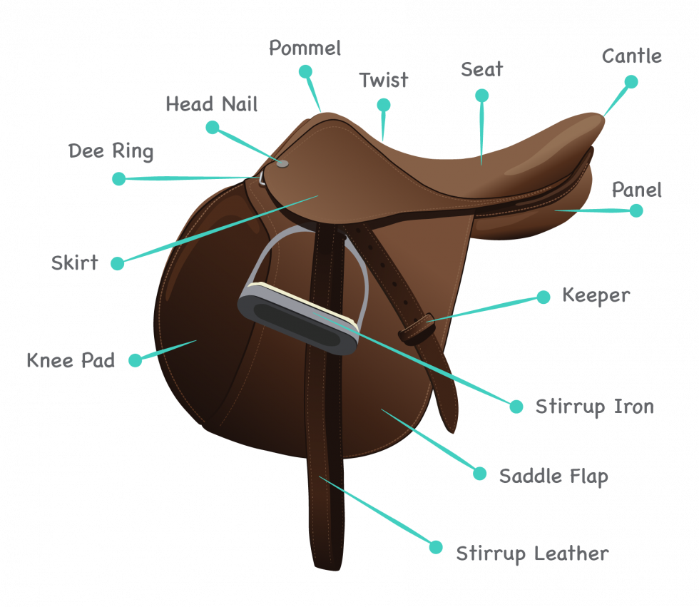 western-youth-saddle-size-chart-tips-for-choosing-the-best-youth