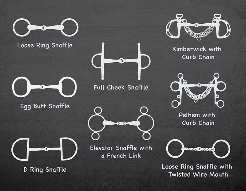 Bridle Parts & Types