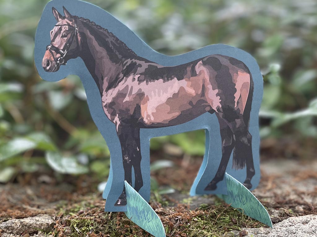 Horse Anatomy Craft Printable Download Allpony By The U S Pony Clubs