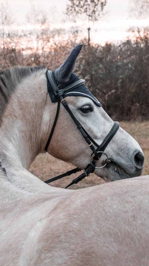 Bridle Parts Types